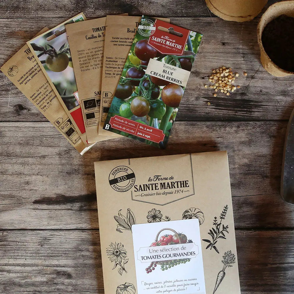Assortiment de graines de tomates gourmandes – La Ferme de Sainte Marthe