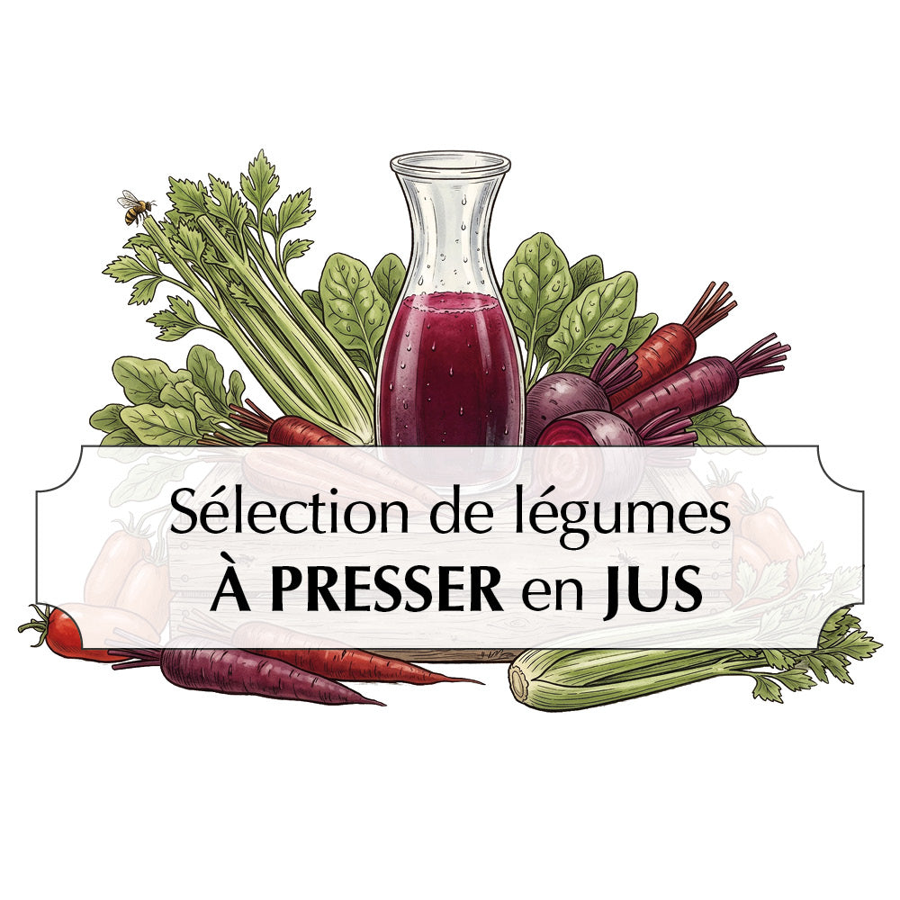 Assortiment de graines sélection de légumes à presser – La Ferme de Sainte Marthe