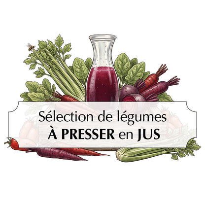 Assortiment de graines sélection de légumes à presser – La Ferme de Sainte Marthe