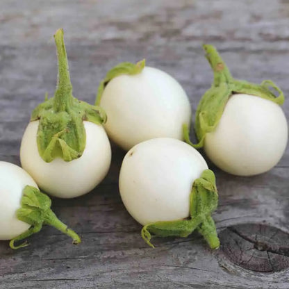 Graines d'aubergine blanche ronde à œuf bio – La Ferme de Sainte Marthe