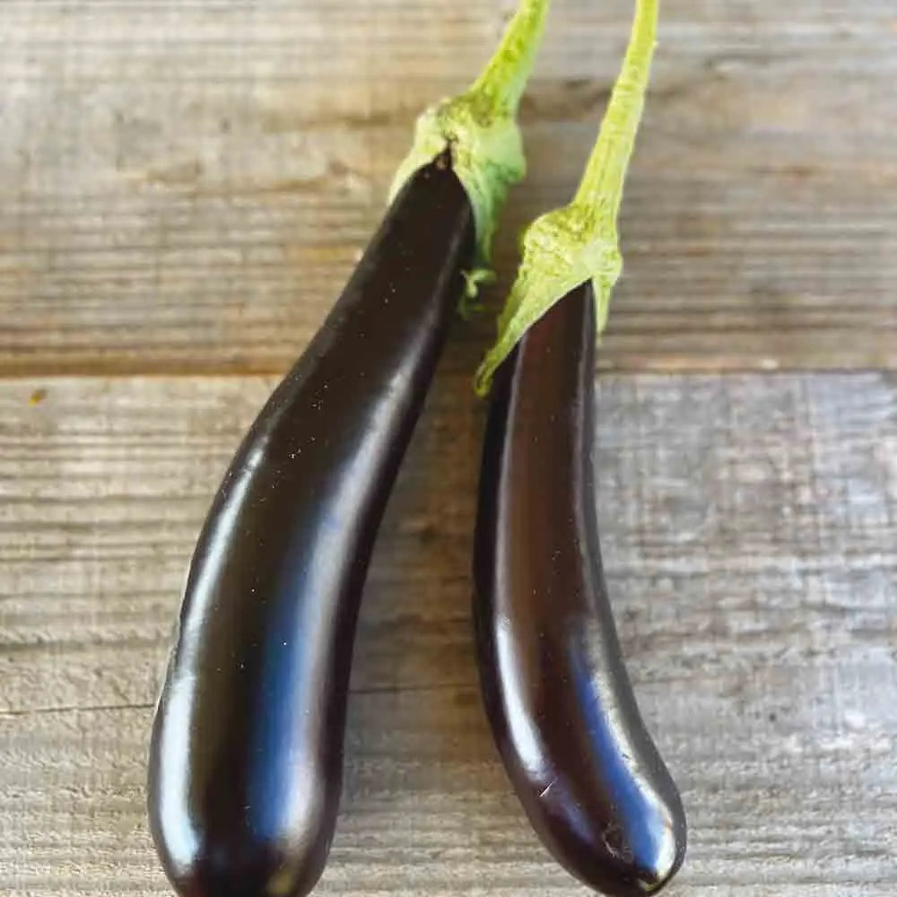 Graines d'aubergine de barbentane bio – La Ferme de Sainte Marthe