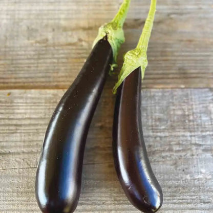 Graines d'aubergine de barbentane bio – La Ferme de Sainte Marthe