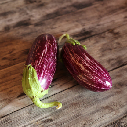 Graines d'aubergine listada de gandia bio – La Ferme de Sainte Marthe