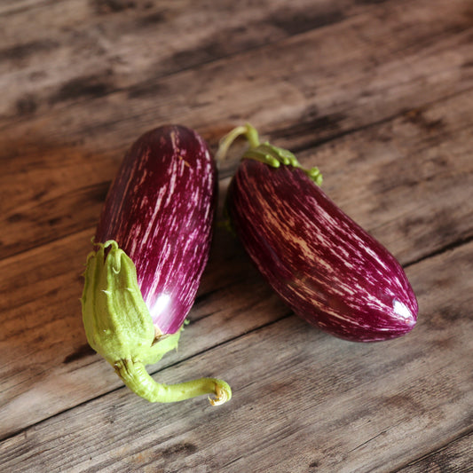 Graines d'aubergine listada de gandia bio – La Ferme de Sainte Marthe