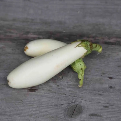 Graines d'aubergine longue blanche bio – La Ferme de Sainte Marthe