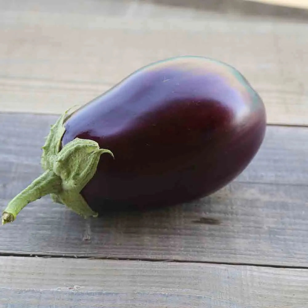 Graines d'aubergine monstrueuse de new york bio – La Ferme de Sainte Marthe