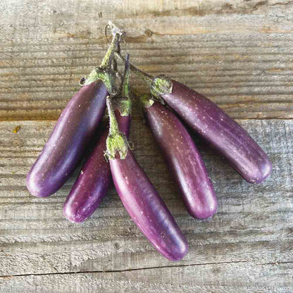Graines d'aubergine pusa purple cluster bio – La Ferme de Sainte Marthe