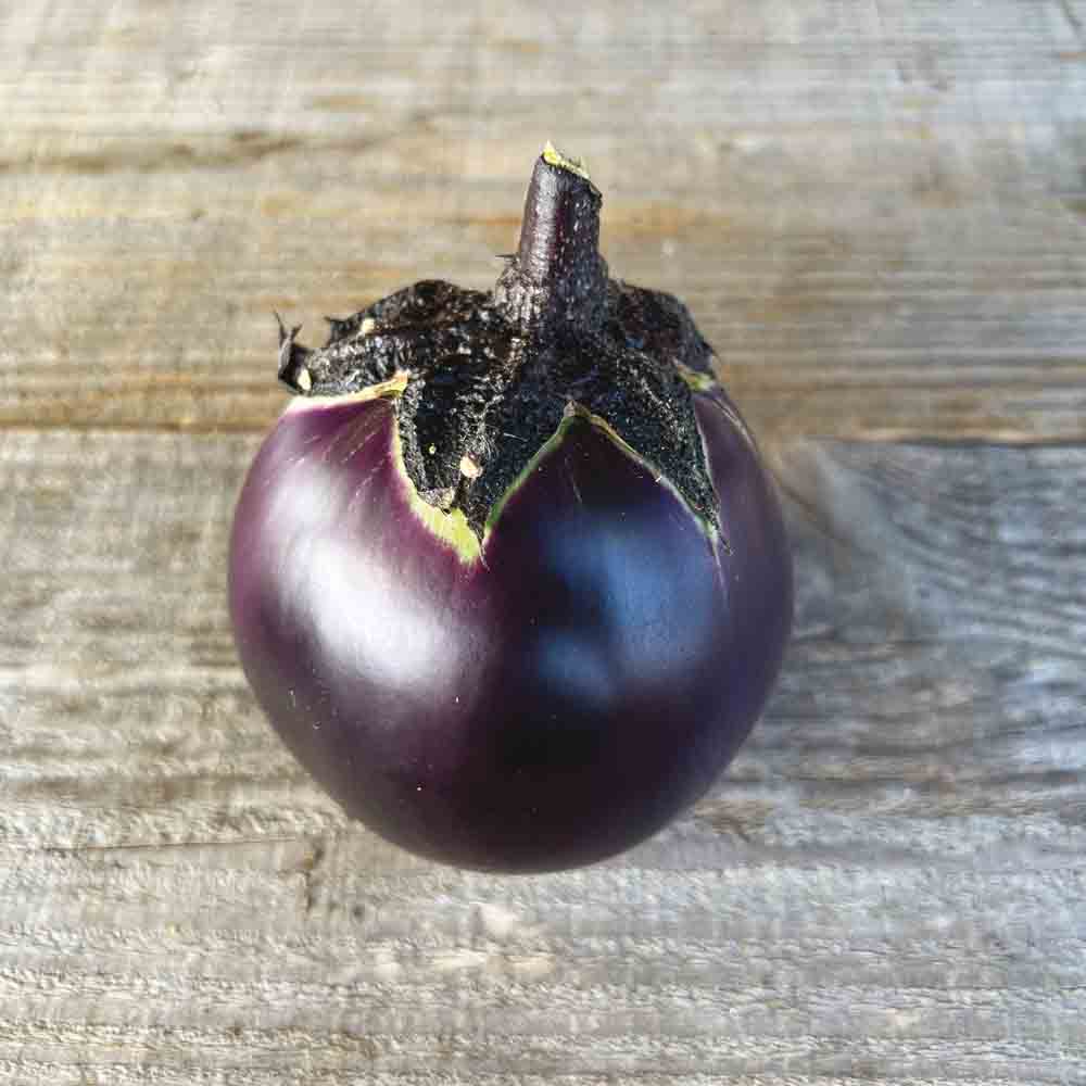 Graines d'aubergine ronde de valence bio – La Ferme de Sainte Marthe