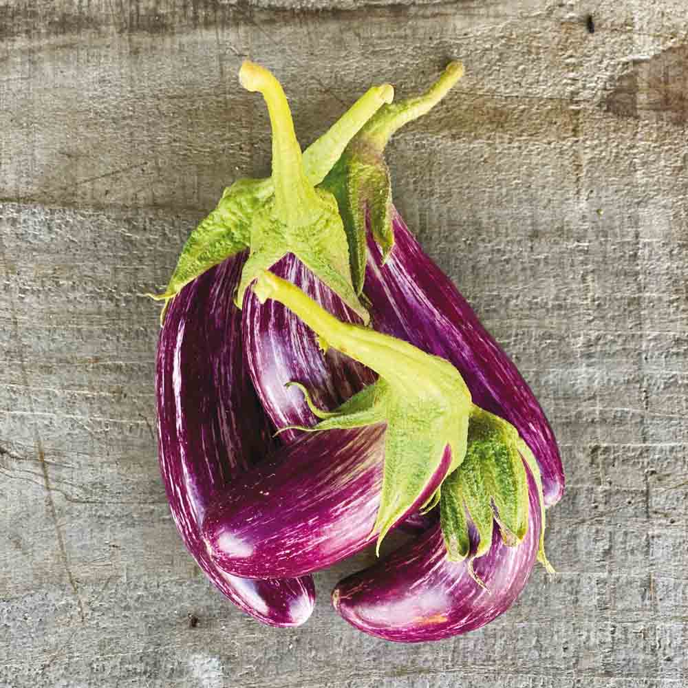 Graines d'aubergine tsakoniki bio – La Ferme de Sainte Marthe