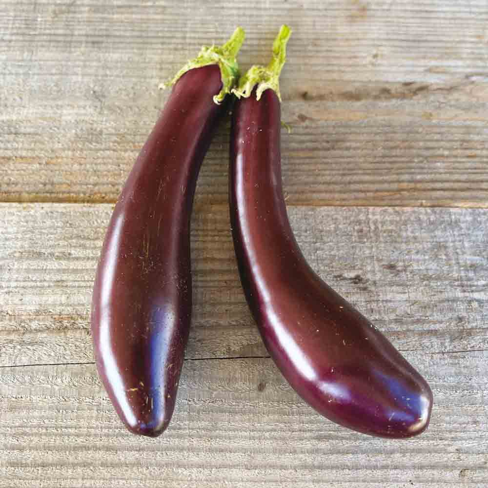 Graines d'aubergine violetta lunga 3 bio – La Ferme de Sainte Marthe