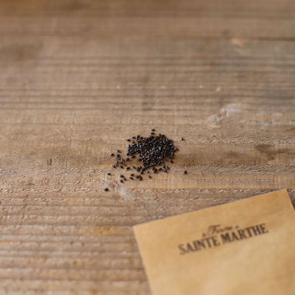 Graines de basilic cannelle bio – La Ferme de Sainte Marthe