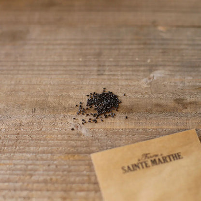 Graines de basilic cannelle bio – La Ferme de Sainte Marthe