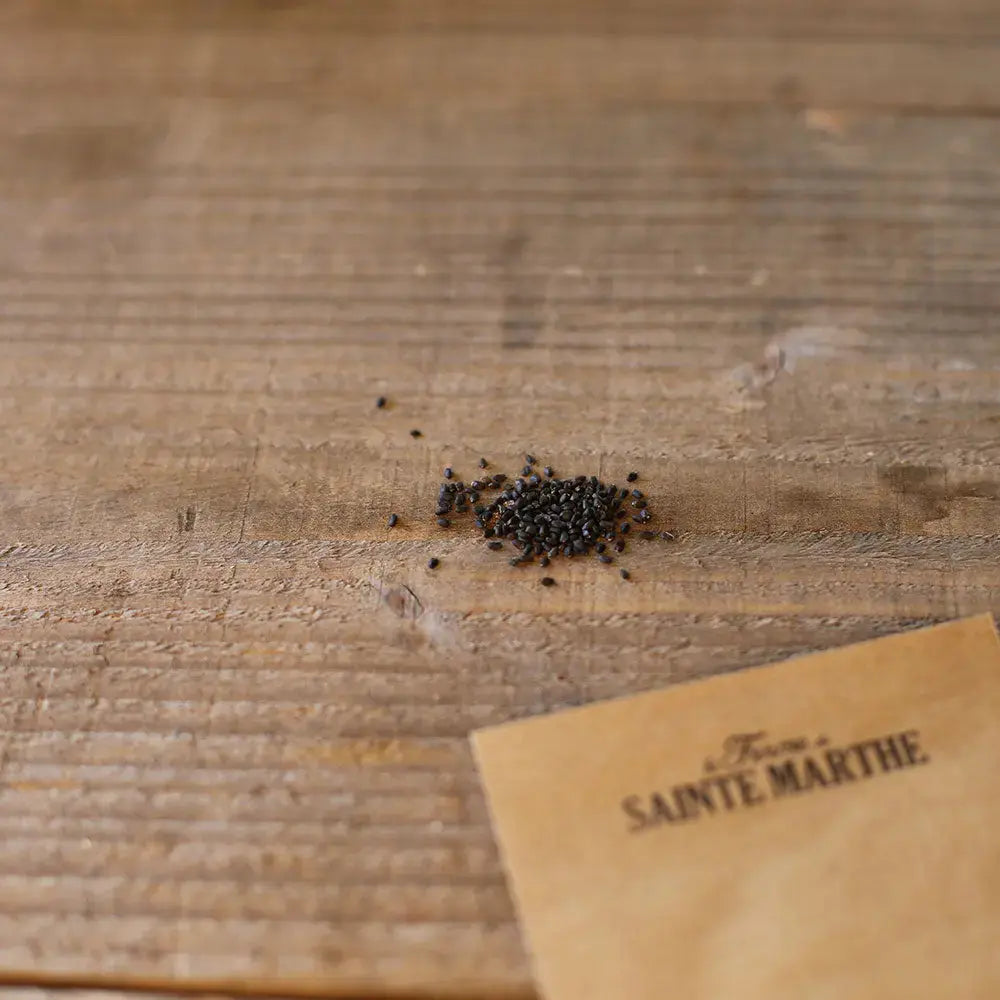 Graines de basilic fin vert nain compact bio – La Ferme de Sainte Marthe