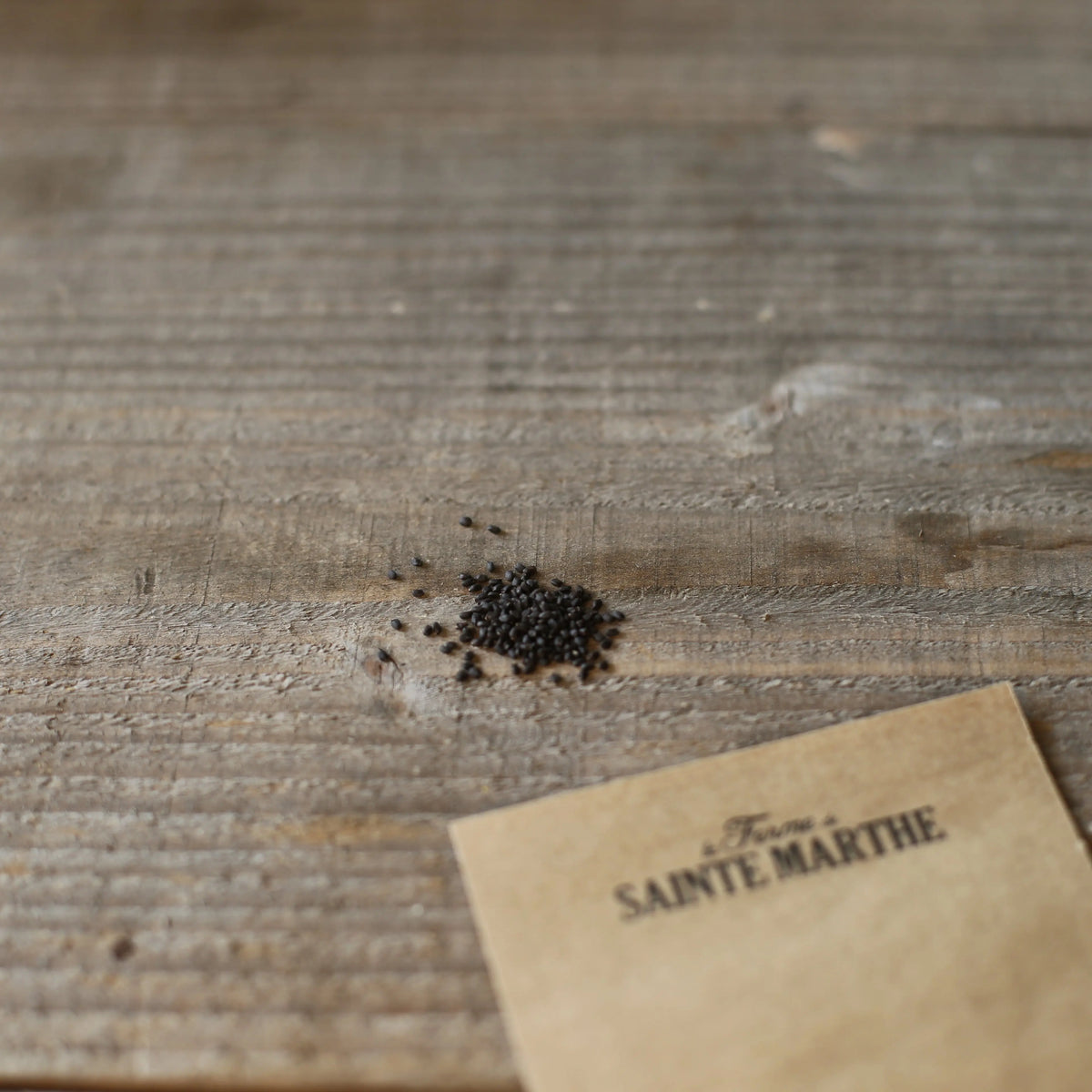 Graines de basilic genovese bio – La Ferme de Sainte Marthe
