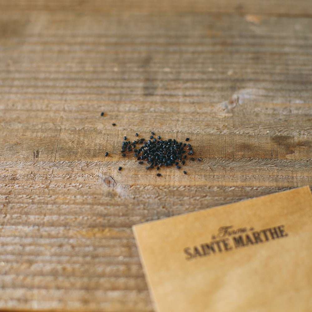 Graines de basilic bio – La Ferme de Sainte Marthe