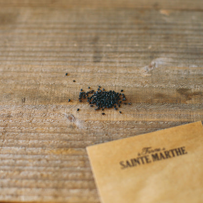 Graines de basilic bio – La Ferme de Sainte Marthe