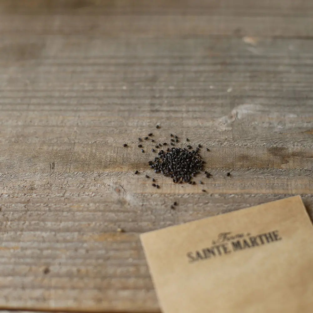 Graines de basilics en mélange (cannelle géant monstrueux grand vert) bio – La Ferme de Sainte Marthe