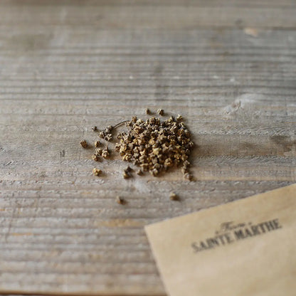 Graines de betterave chioggia bio – La Ferme de Sainte Marthe