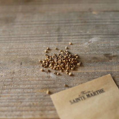 Graines de betterave bio – La Ferme de Sainte Marthe
