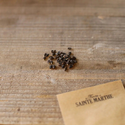 Graines de bourrache blanche bio – La Ferme de Sainte Marthe