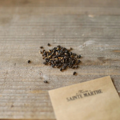 Graines de bourrache officinale bio – La Ferme de Sainte Marthe