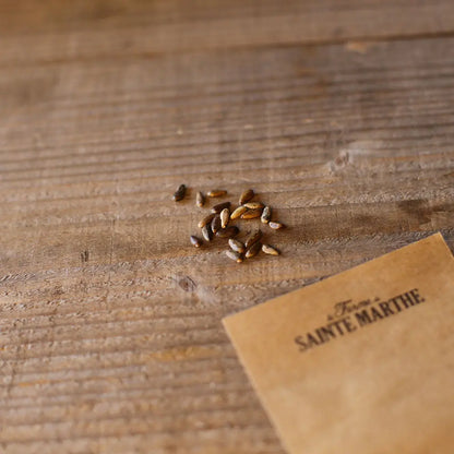 Graines de cardon bio – La Ferme de Sainte Marthe