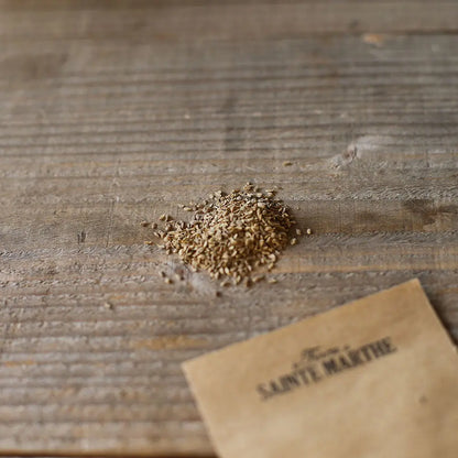 Graines de carotte – La Ferme de Sainte Marthe