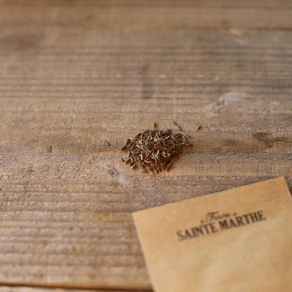 Graines de carvi bio – La Ferme de Sainte Marthe