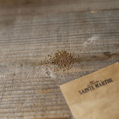 Graines de céleri à couper bio – La Ferme de Sainte Marthe