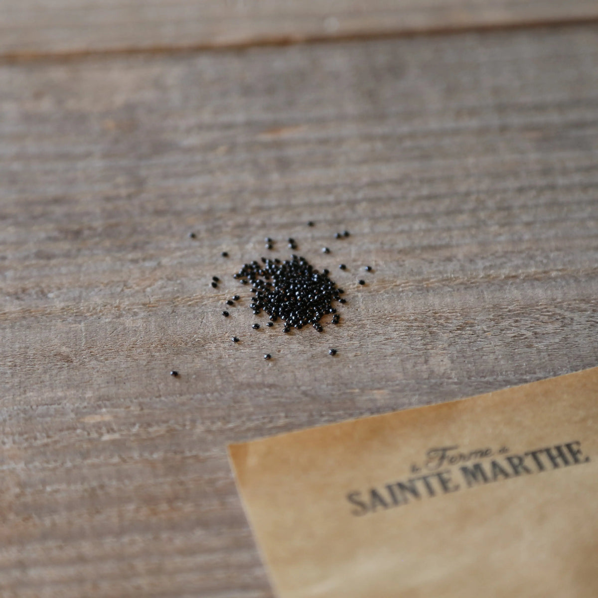 Graines de célosie flamingo pink – La Ferme de Sainte Marthe