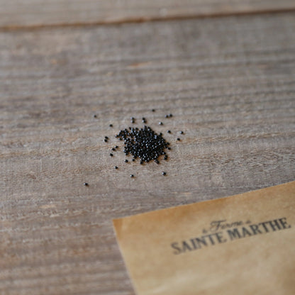 Graines de célosie flamingo pink – La Ferme de Sainte Marthe