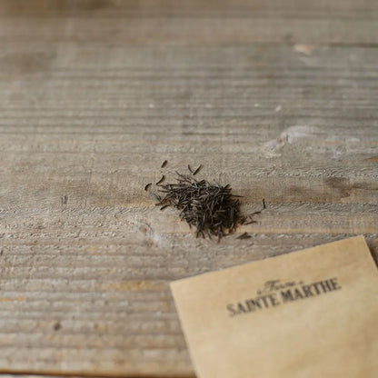 Graines de cerfeuil commun simple bio – La Ferme de Sainte Marthe