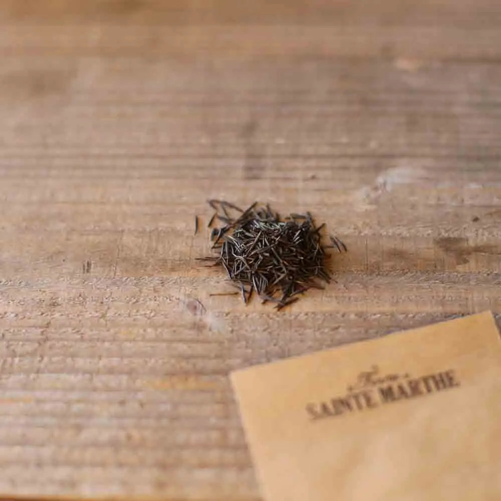 Graines de cerfeuil frisé bio – La Ferme de Sainte Marthe