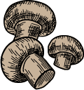 Les chevilles de champignons