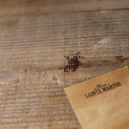 Graines de chou cabus cœur de bœuf des vertus bio – La Ferme de Sainte Marthe