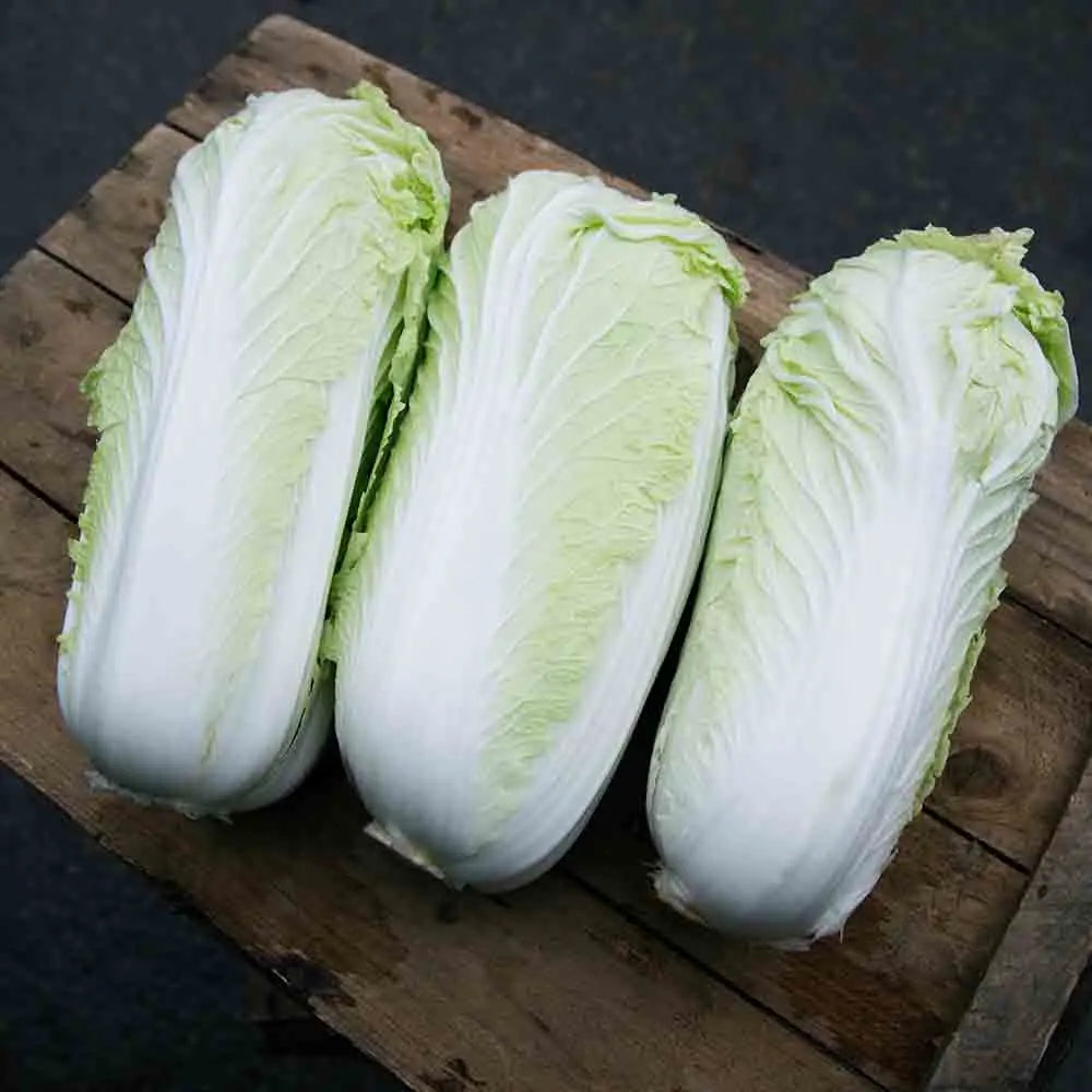 Graines de chou de chine pe tsaï fidel bio – La Ferme de Sainte Marthe