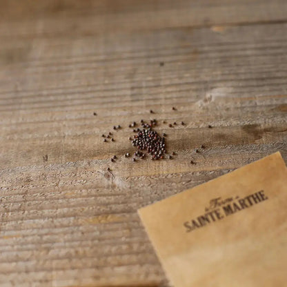 Graines de chou de chine pe tsaï fidel bio – La Ferme de Sainte Marthe
