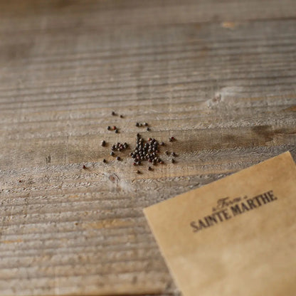 Graines de chou de milan gros des vertus 4 bio – La Ferme de Sainte Marthe