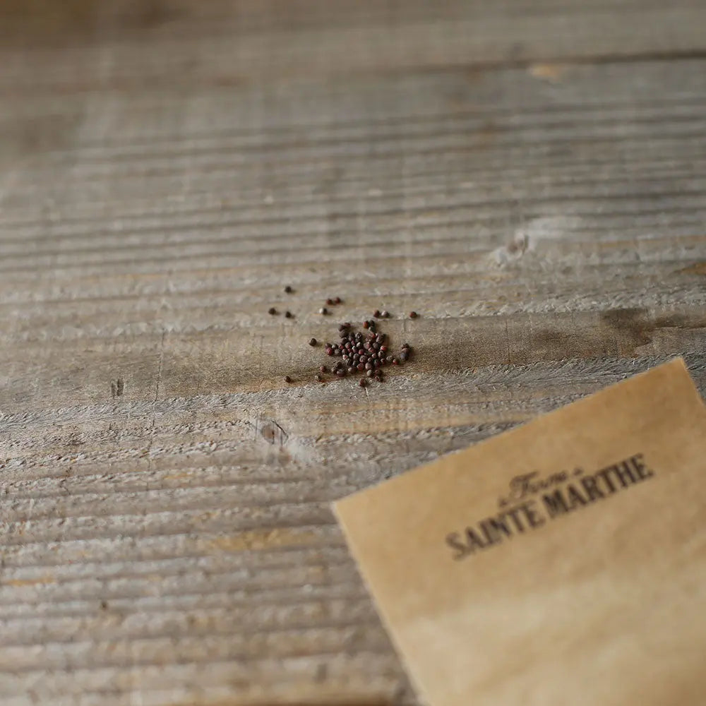 Graines de chou-fleur flora blanca bio – La Ferme de Sainte Marthe
