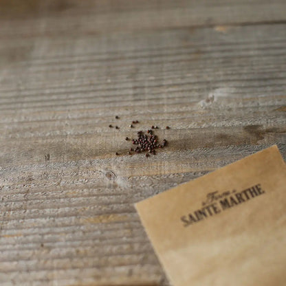Graines de chou-fleur flora blanca bio – La Ferme de Sainte Marthe