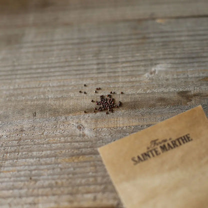 Graines de chou-fleur romanesco natalino bio – La Ferme de Sainte Marthe