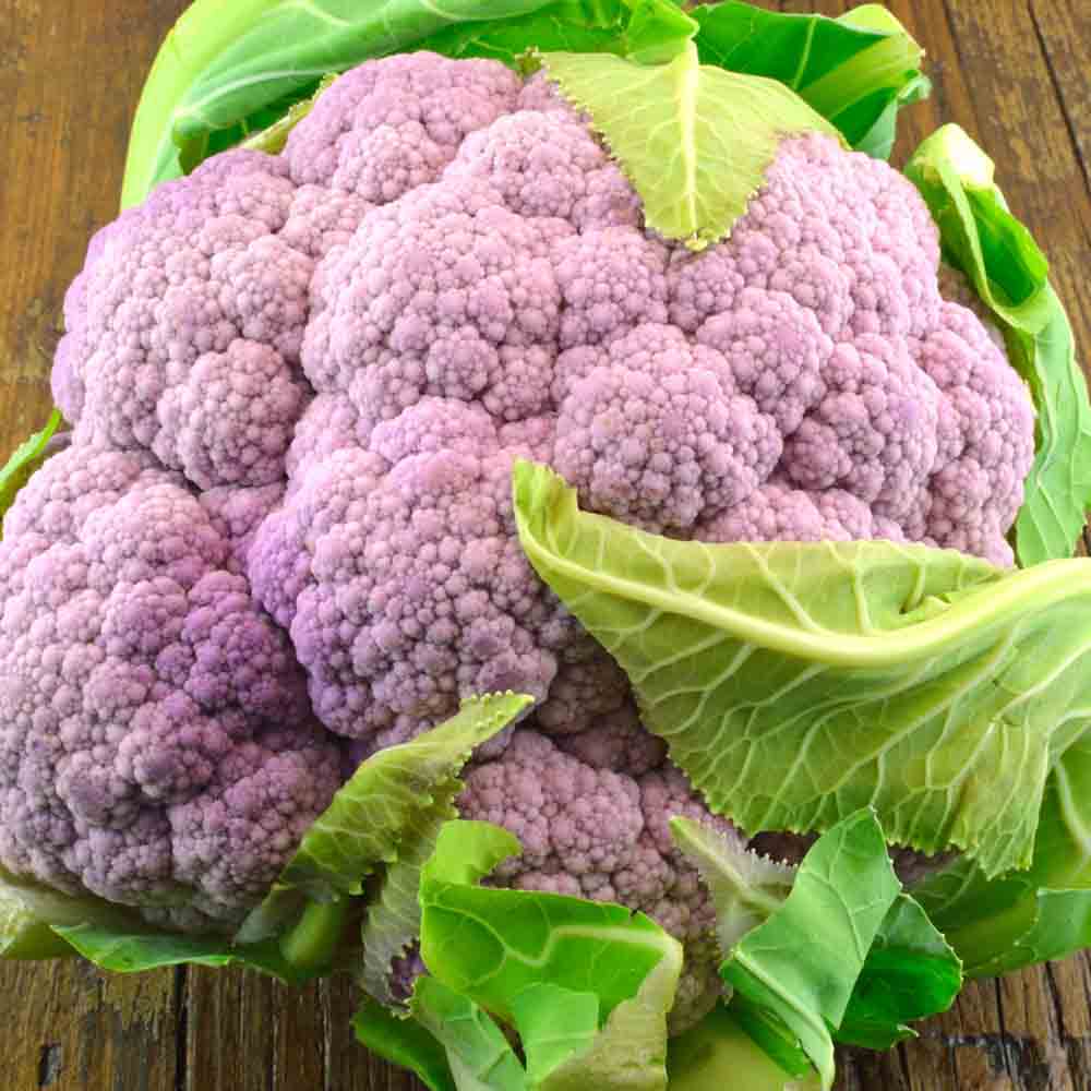 Graines de chou-fleur violet de sicile bio – La Ferme de Sainte Marthe