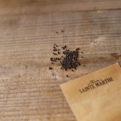 Graines de chou frisé kale blue scotch bio – La Ferme de Sainte Marthe