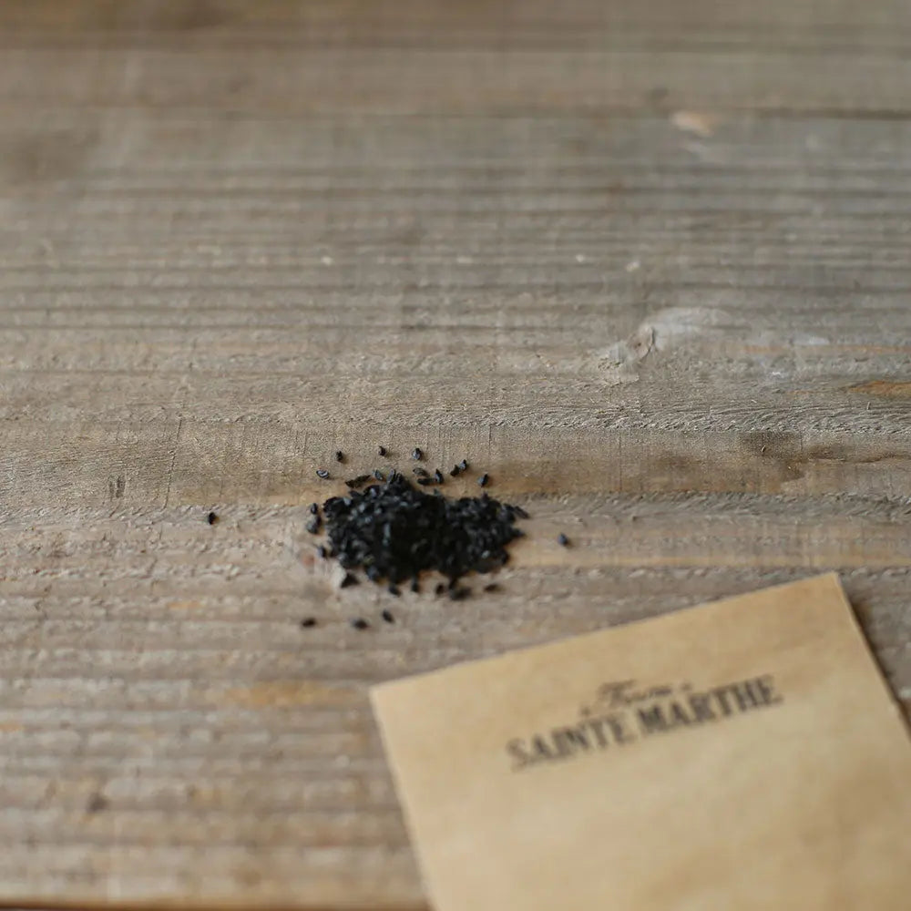 Graines de ciboulette bio – La Ferme de Sainte Marthe