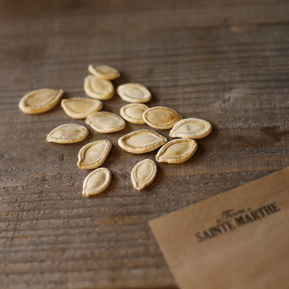 Graines de citrouille de touraine bio – La Ferme de Sainte Marthe