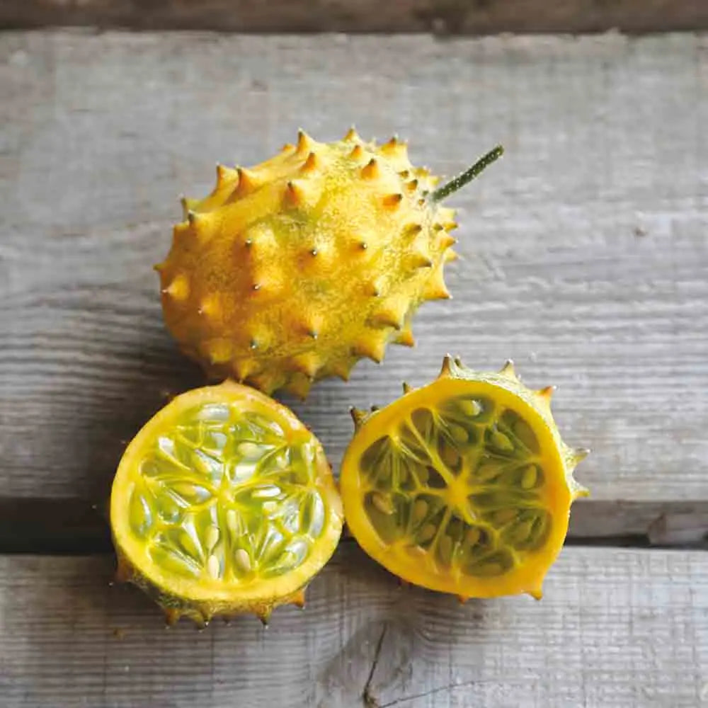 Graines de concombre cornu d'afrique kiwano bio – La Ferme de Sainte Marthe