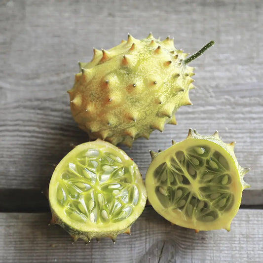 Graines de concombre kiwano rond blanc bio – La Ferme de Sainte Marthe