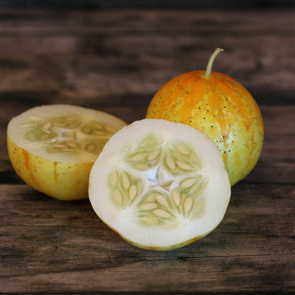 Graines de concombre lemon bio – La Ferme de Sainte Marthe