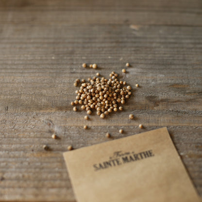 Graines de coriandre bio – La Ferme de Sainte Marthe