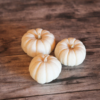 Graines de courge baby boo bio – La Ferme de Sainte Marthe